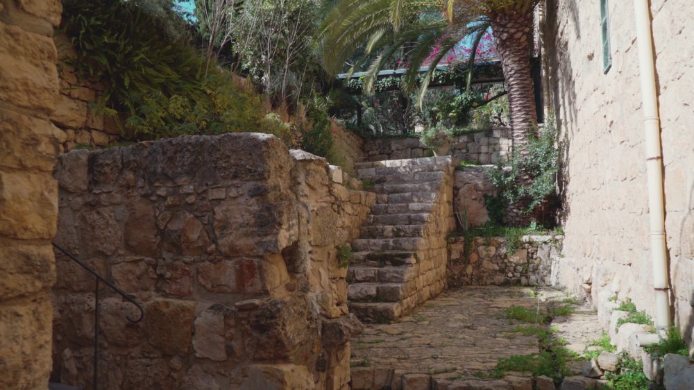 DISCOVER HOLY LAND