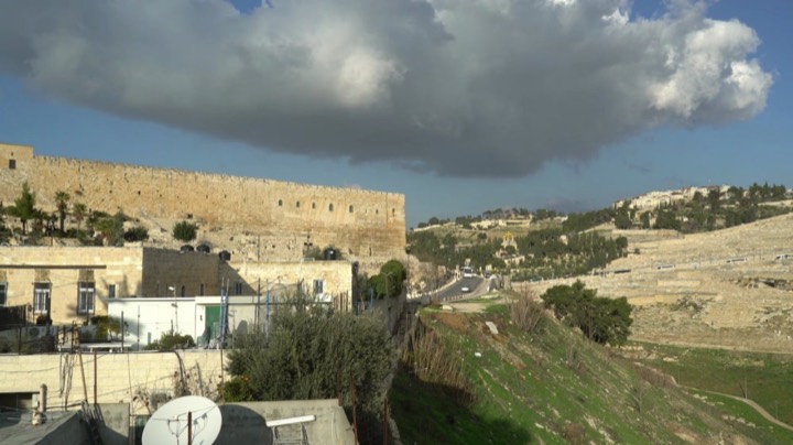 The City of David