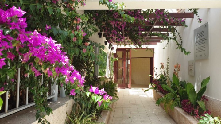 The White City of Tel Aviv: Bauhaus on the Mediterranean