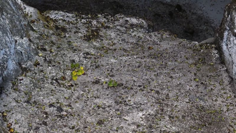 Beit She'arim, Israel (Part 1)