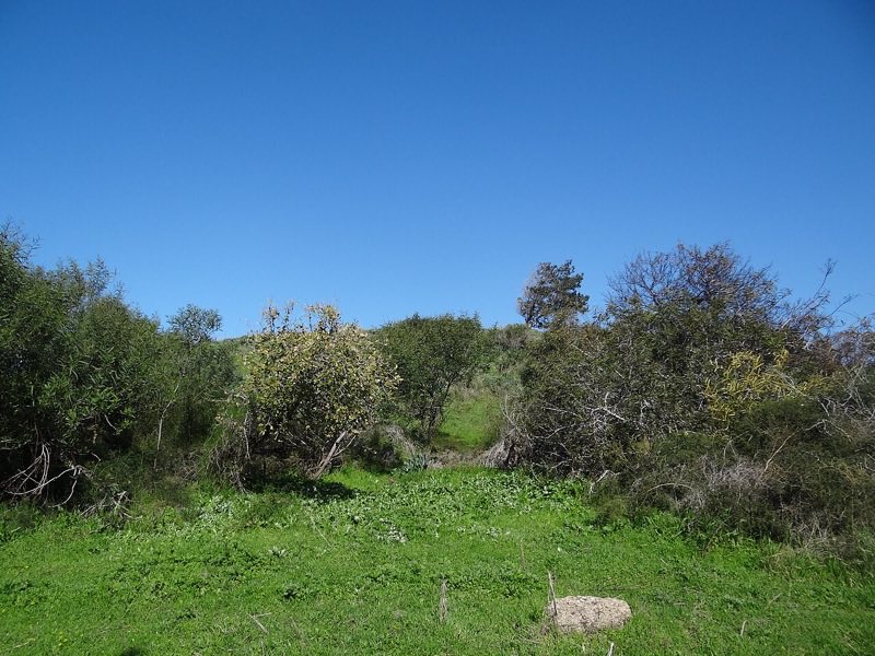 Tel Taninim, Israel