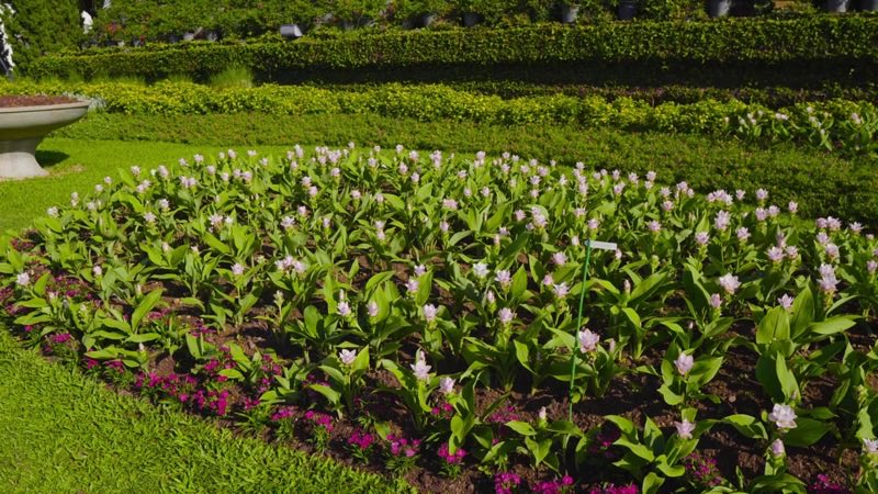 Royal Park Rajapruek, Chiang Mai, Thailand